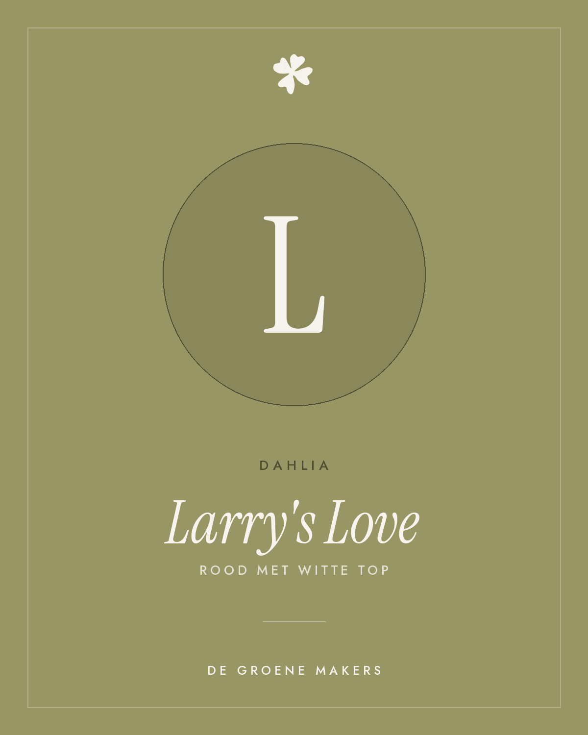 Dahlia 'Larry's Love' – De Groene Makers