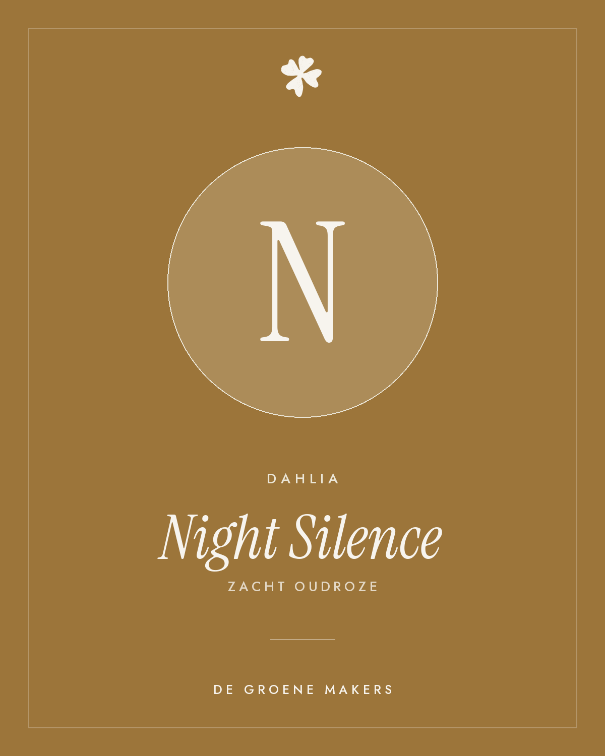 Dahlia 'Night Silence' – De Groene Makers