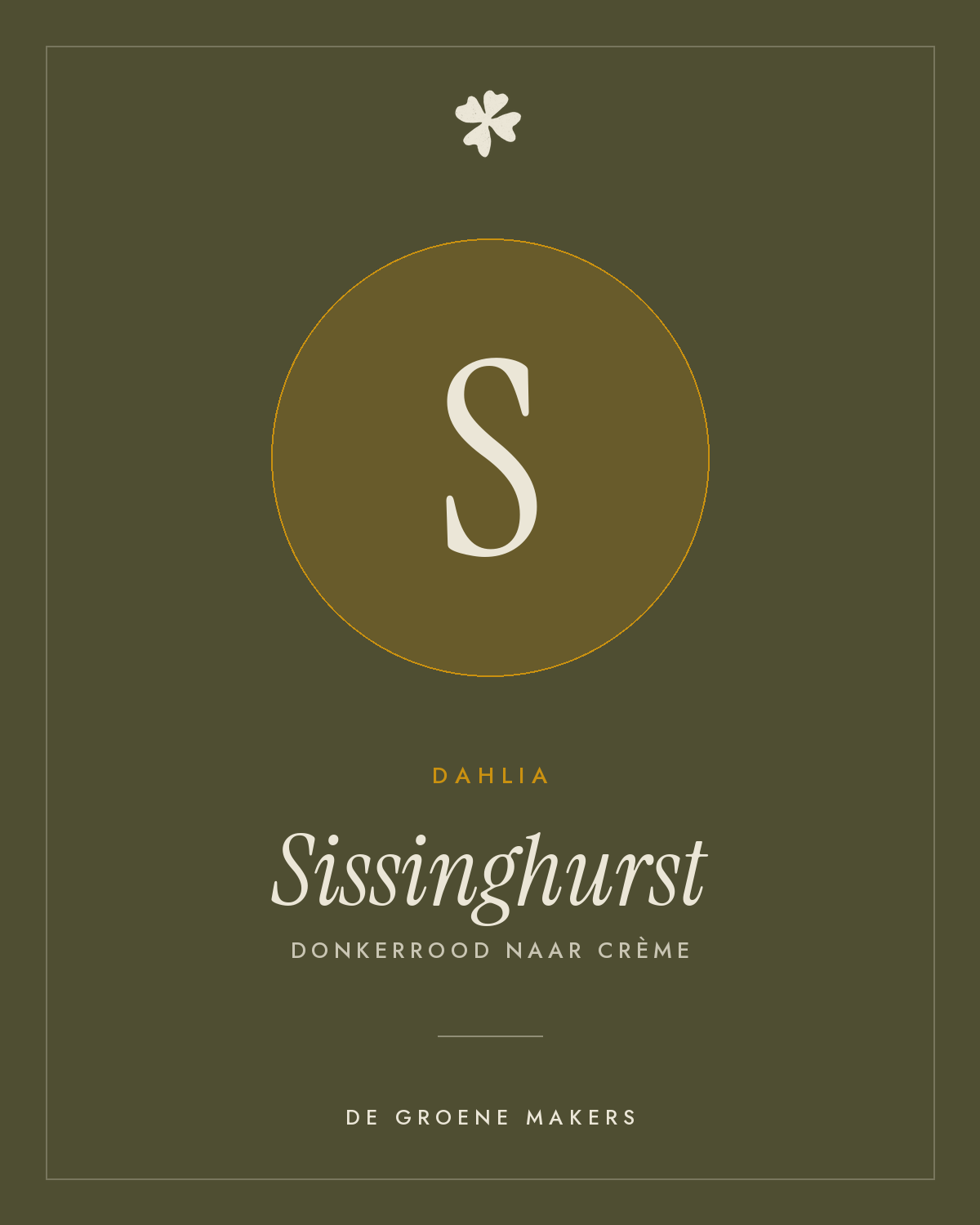 Dahlia 'Sissinghurst' – De Groene Makers