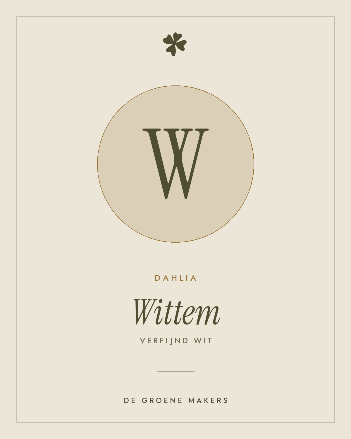 Dahlia 'Wittem' – De Groene Makers