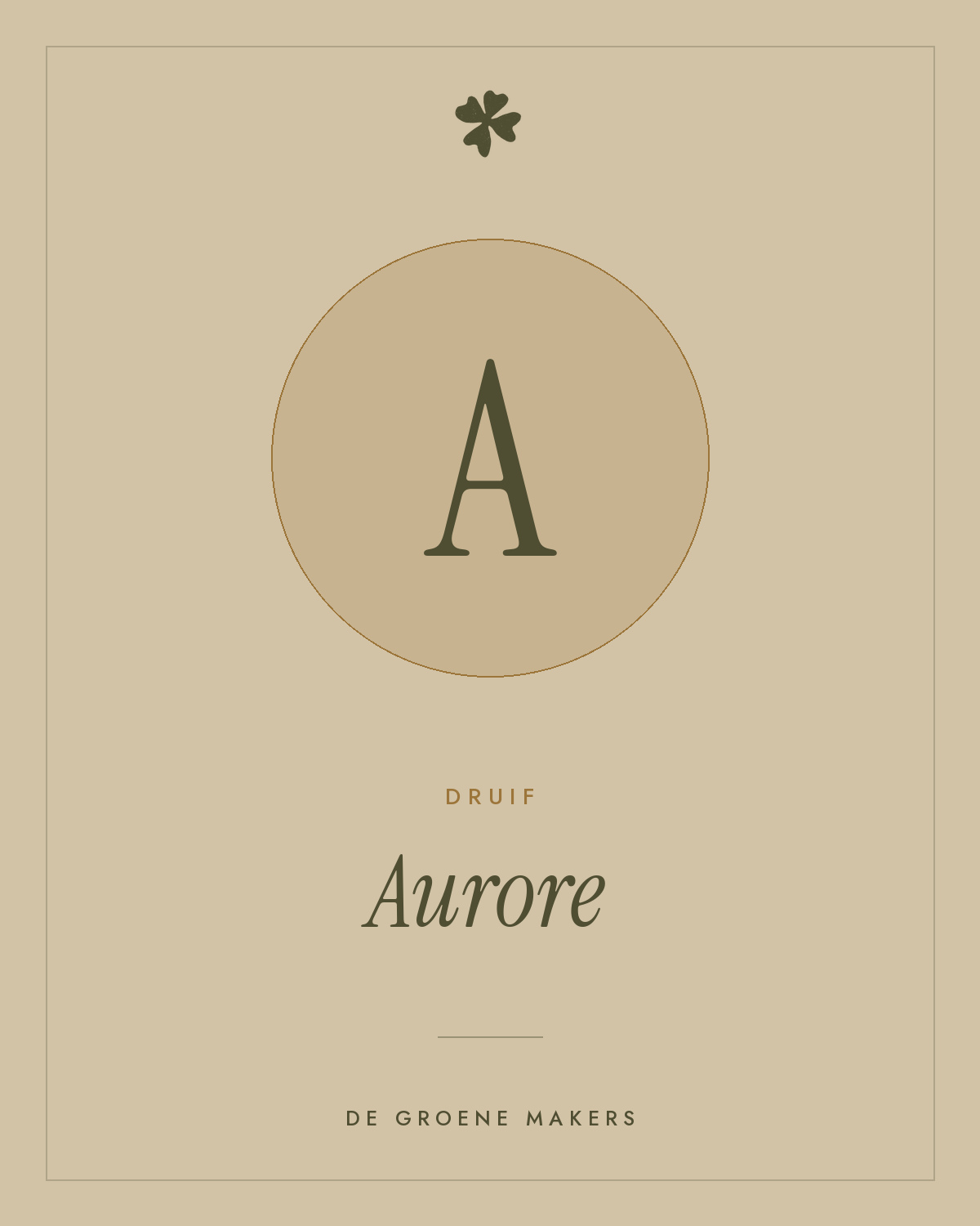 Druif 'Aurore' – De Groene Makers