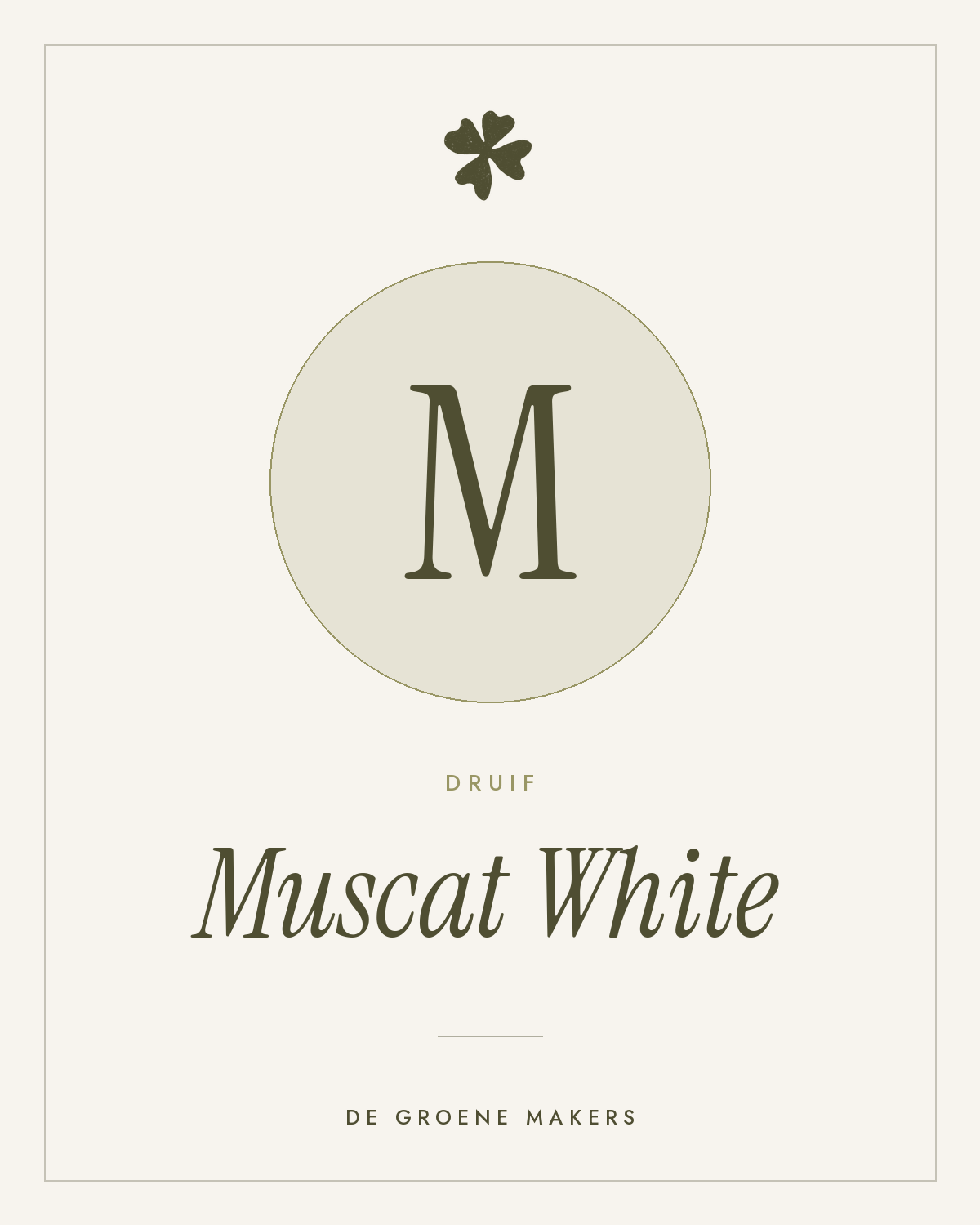Druif ‘Muscat White’ - De Groene Makers