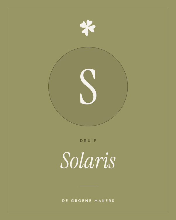 Druif ‘Solaris’ - De Groene Makers