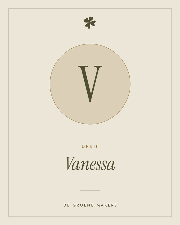 Druif 'Vanessa' – De Groene Makers