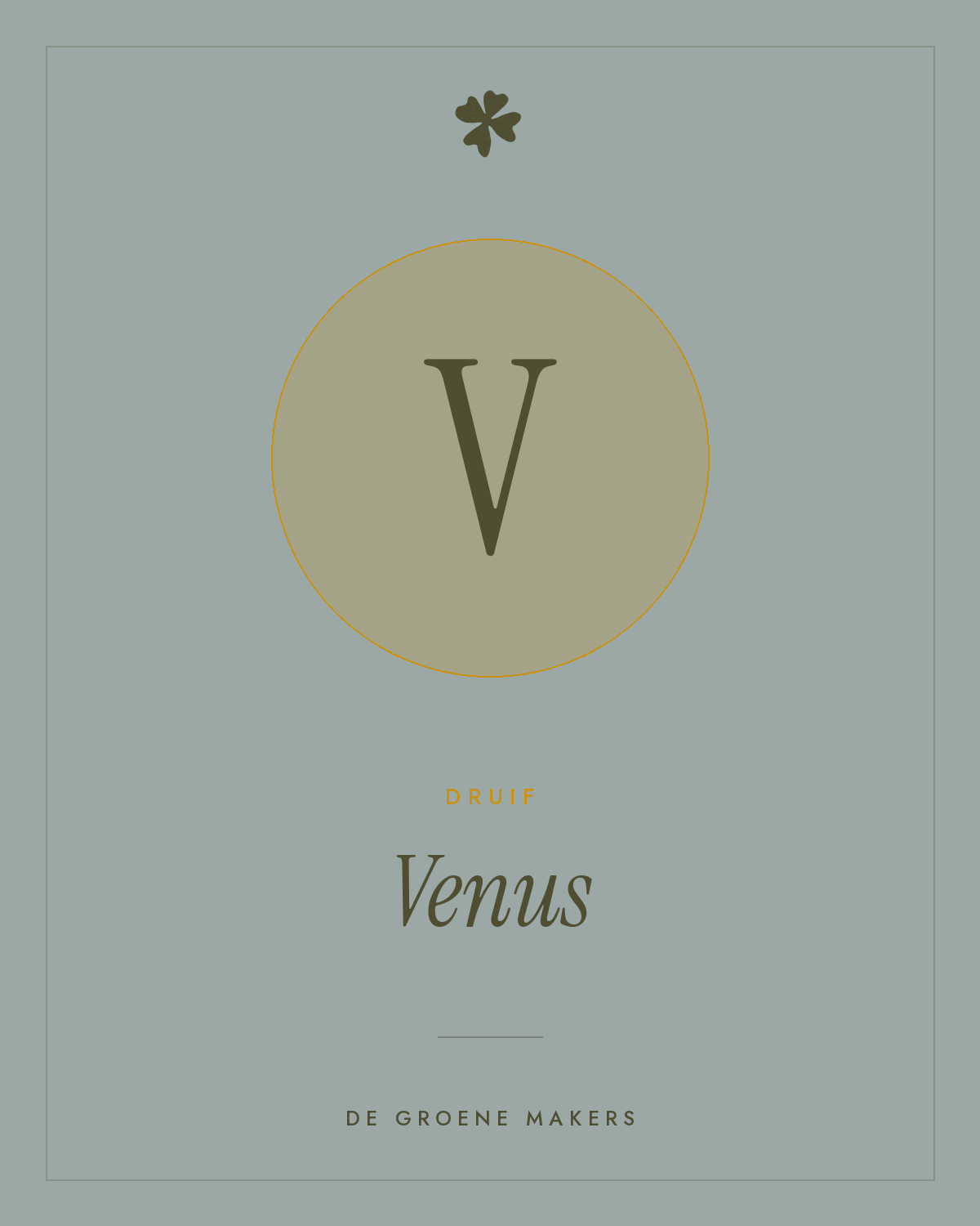 Druif 'Venus' – De Groene Makers