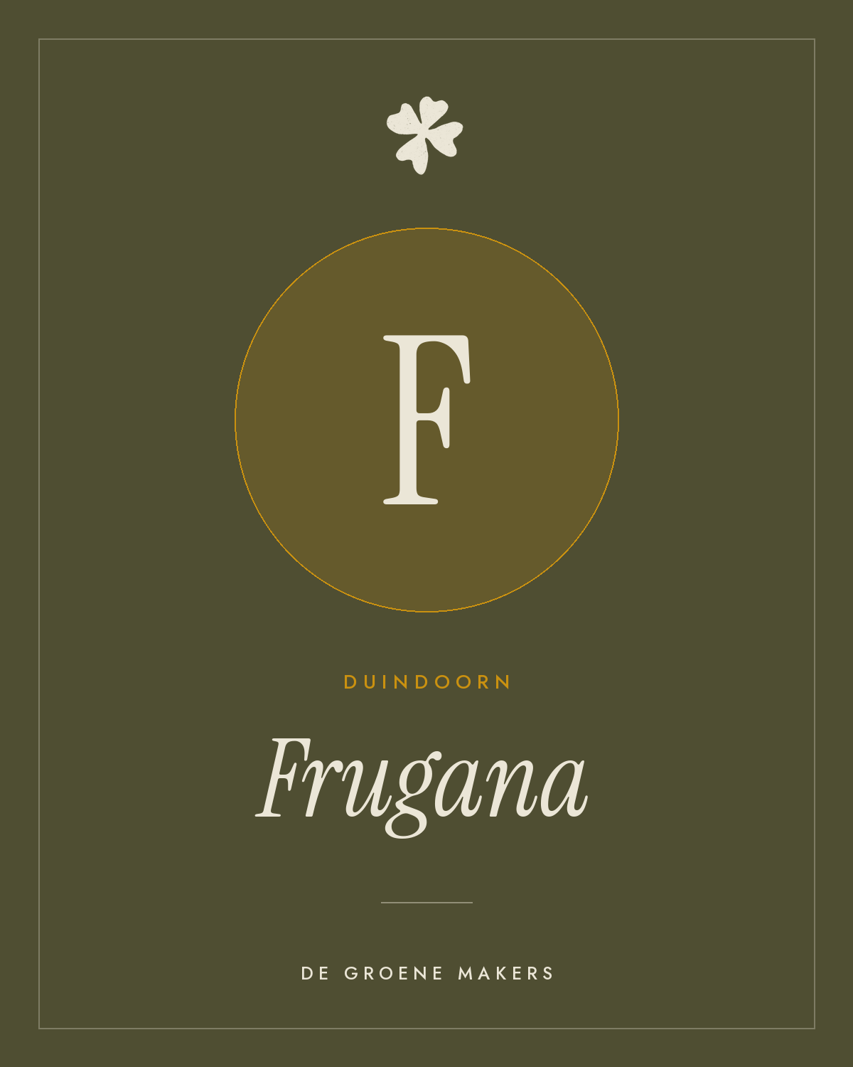 Duindoorn ‘Frugana’ - De Groene Makers