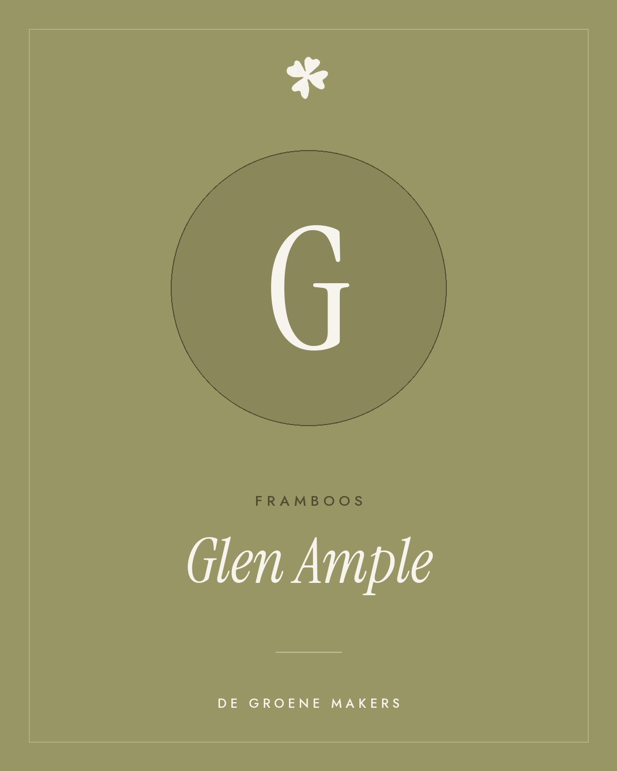 Framboos 'Glen Ample' – De Groene Makers