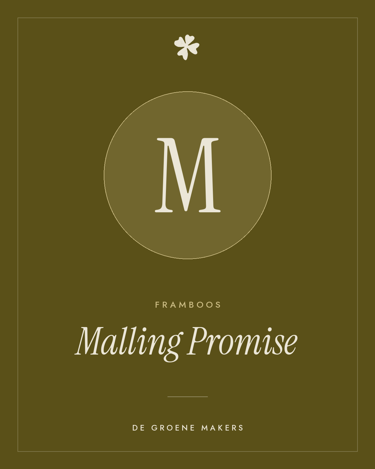 Framboos 'Malling Promise' – De Groene Makers