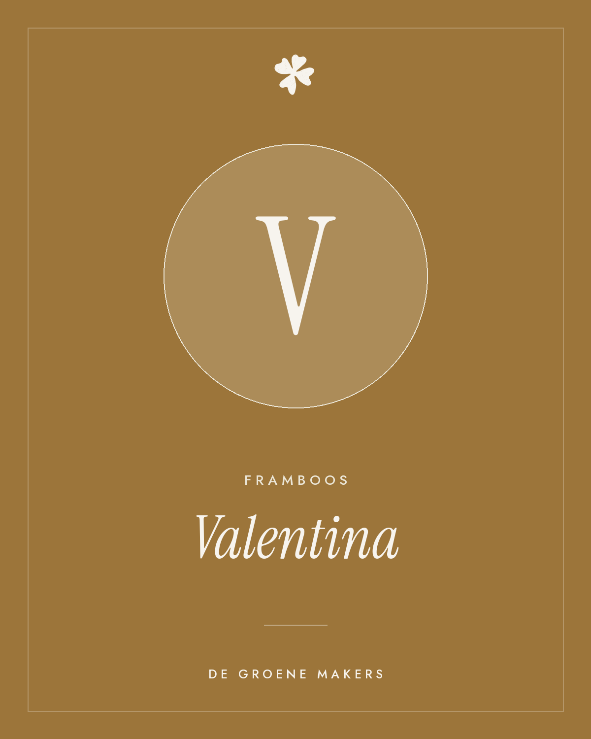 Framboos 'Valentina' – De Groene Makers