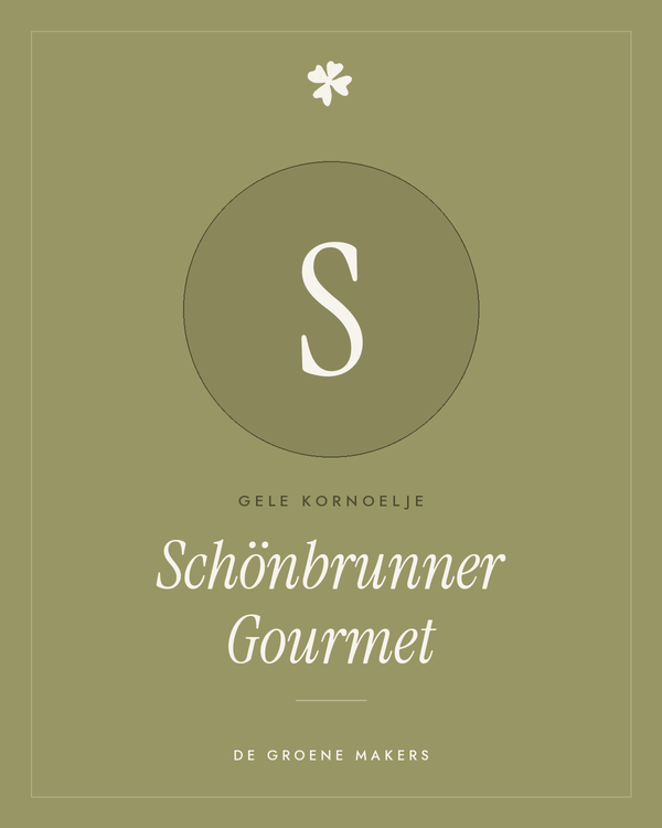 Gele kornoelje 'Schönbrunner Gourmet' – De Groene Makers