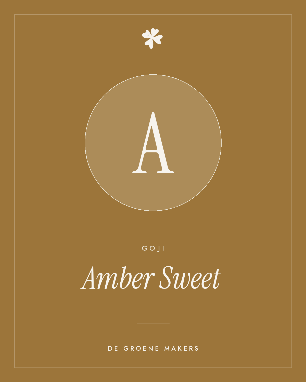 Goji 'Amber Sweet' – De Groene Makers