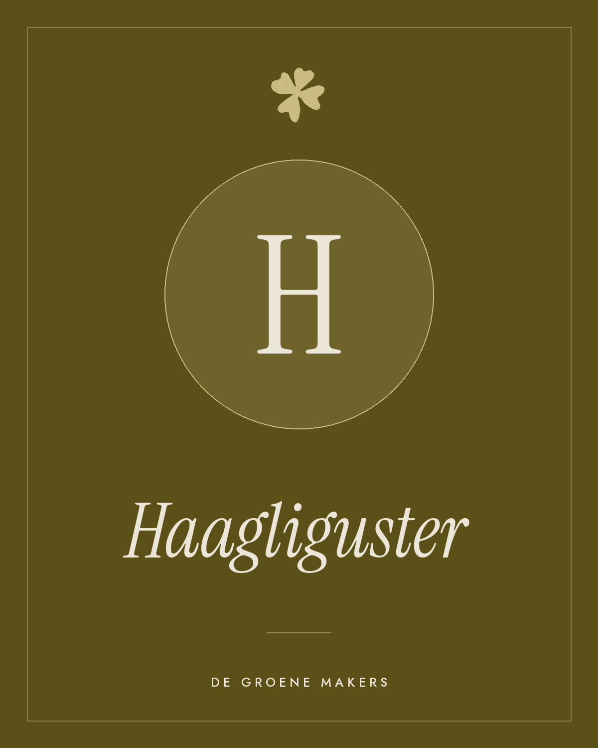Haagliguster - De Groene Makers