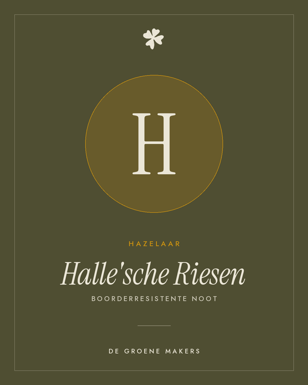Hazelaar 'Halle'sche Riesen' – De Groene Makers