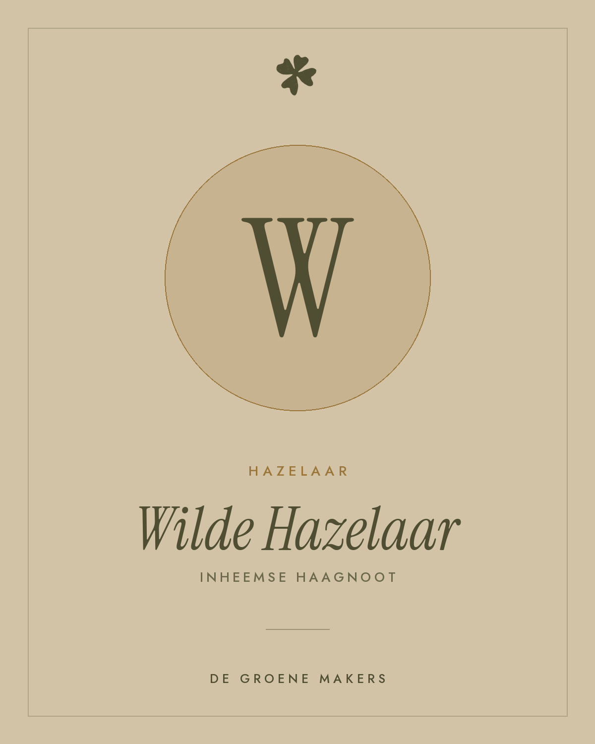 Wilde hazelaar (zaailing) – De Groene Makers