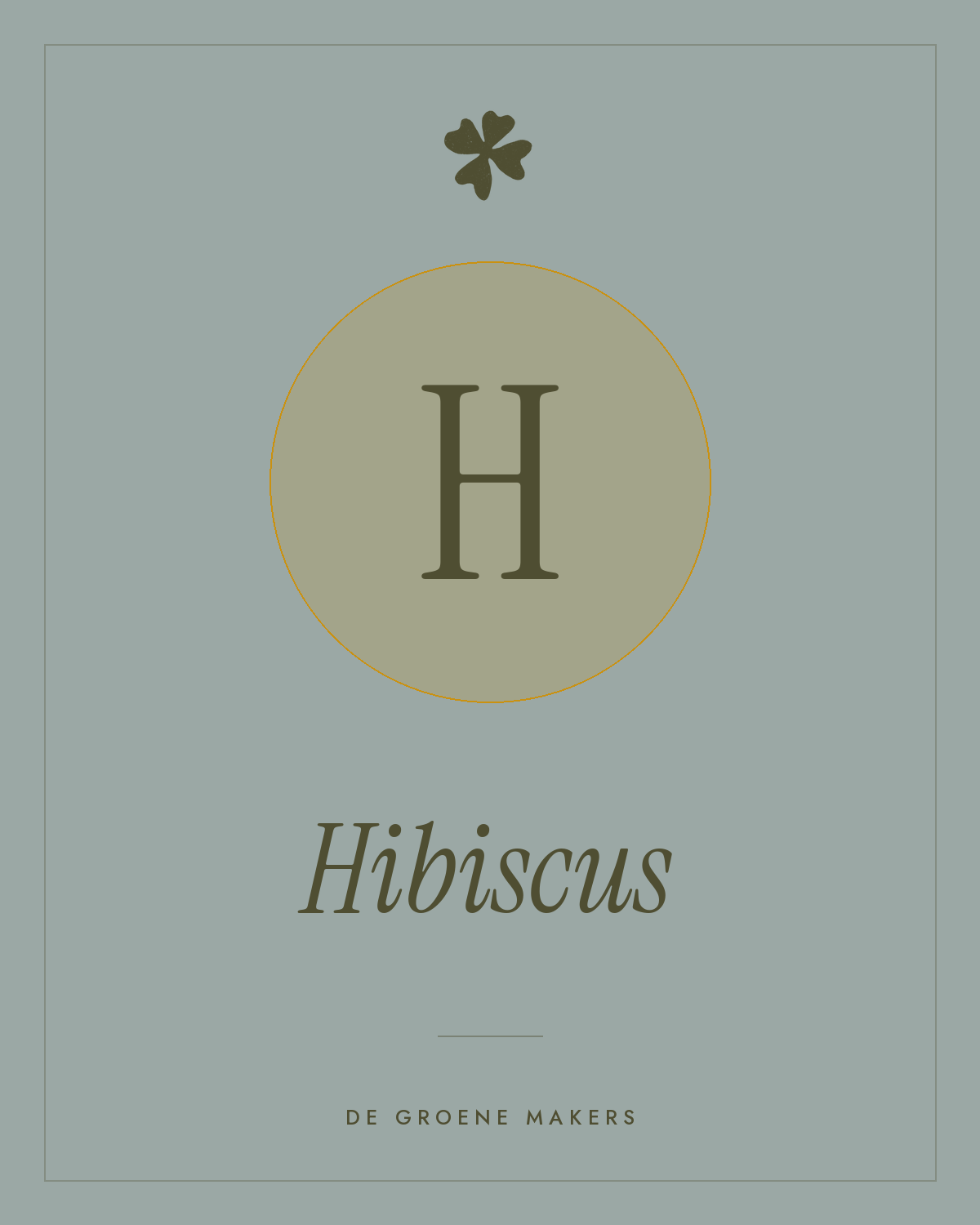 Hibiscus - De Groene Makers