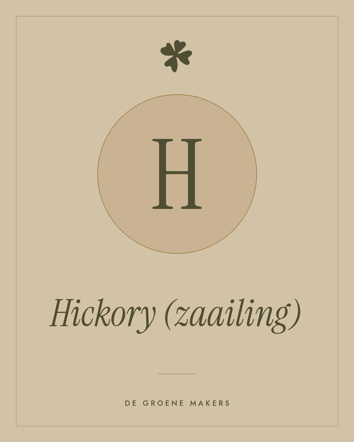 Hickory (zaailing) - De Groene Makers