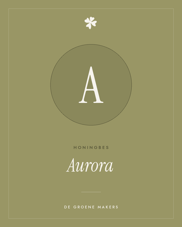 Honingbes 'Aurora' – De Groene Makers