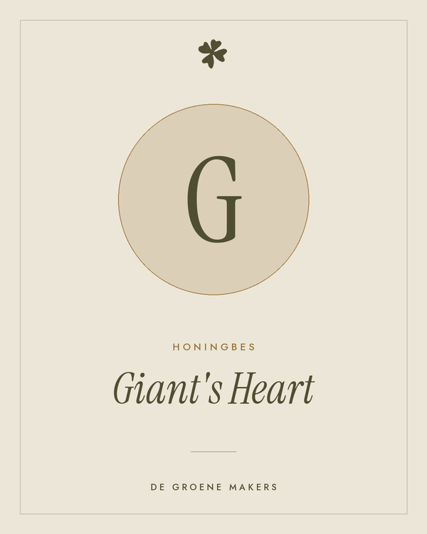 Honingbes 'Giant's Heart' – De Groene Makers