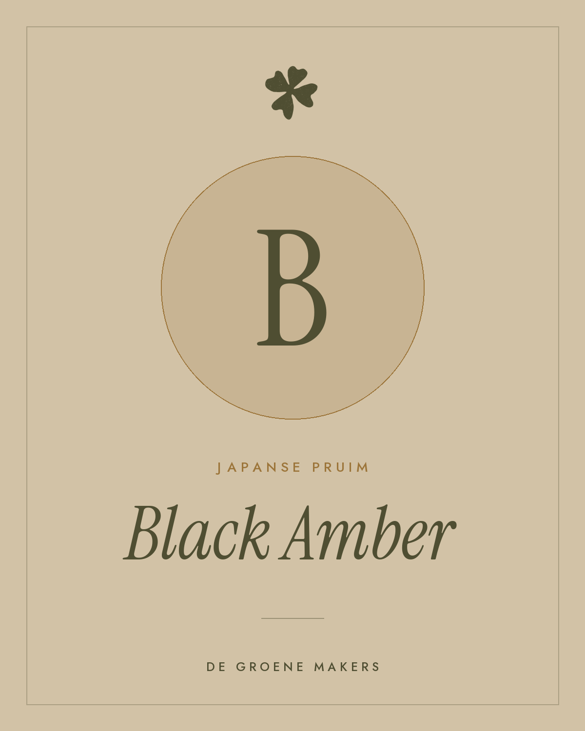 Japanse pruim ‘Black Amber’ - De Groene Makers