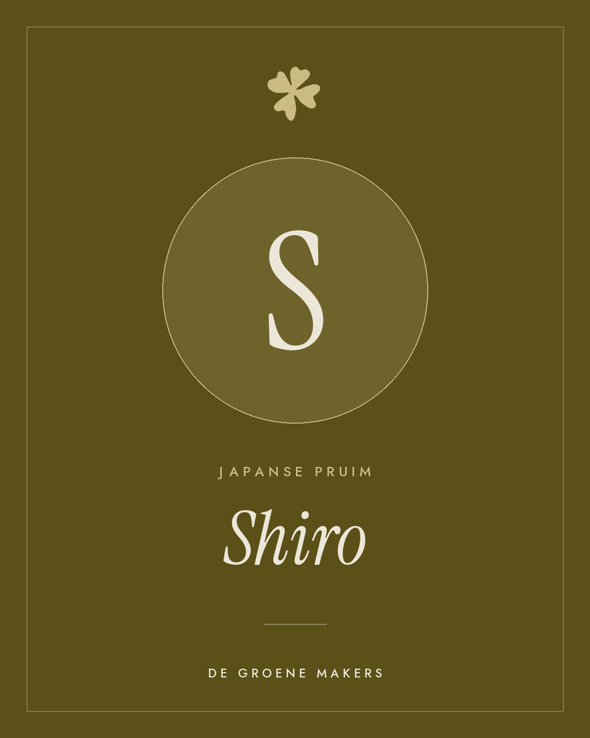 Japanse pruim ‘Shiro’ - De Groene Makers