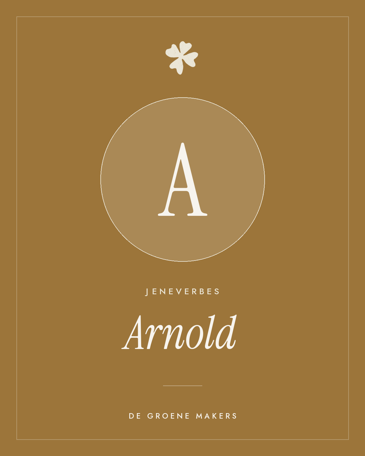 Jeneverbes ‘Arnold’ - De Groene Makers