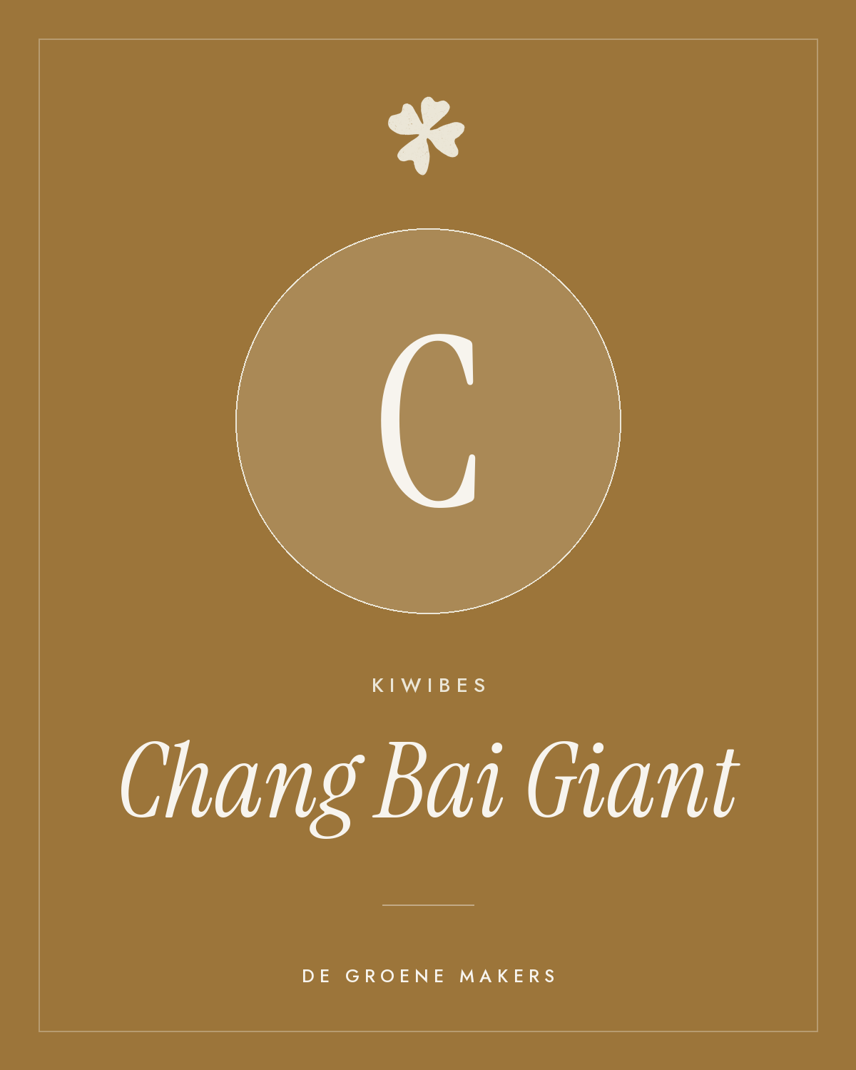 Kiwibes ‘Chang Bai Giant’ - De Groene Makers