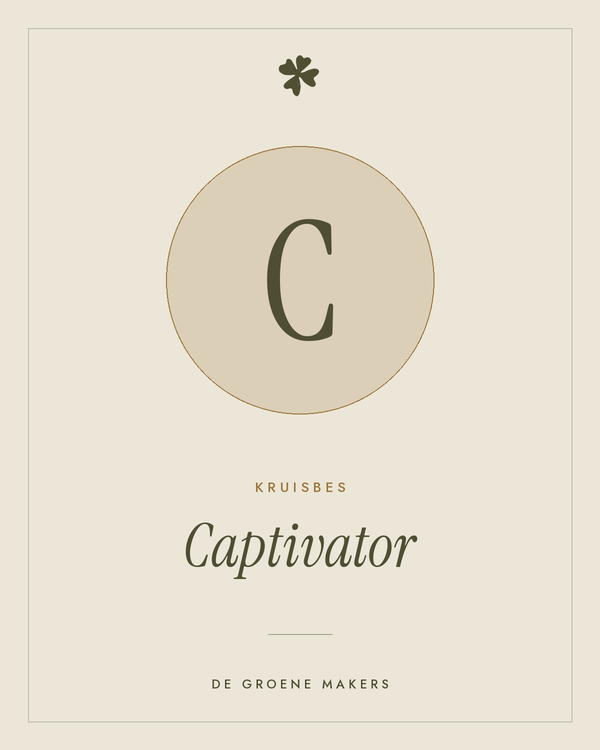 Kruisbes 'Captivator' – De Groene Makers