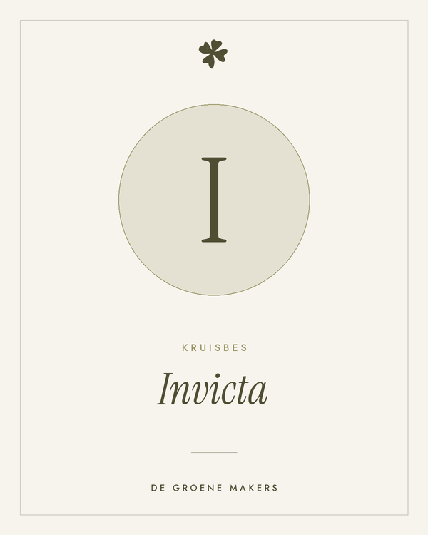 Kruisbes 'Invicta' – De Groene Makers