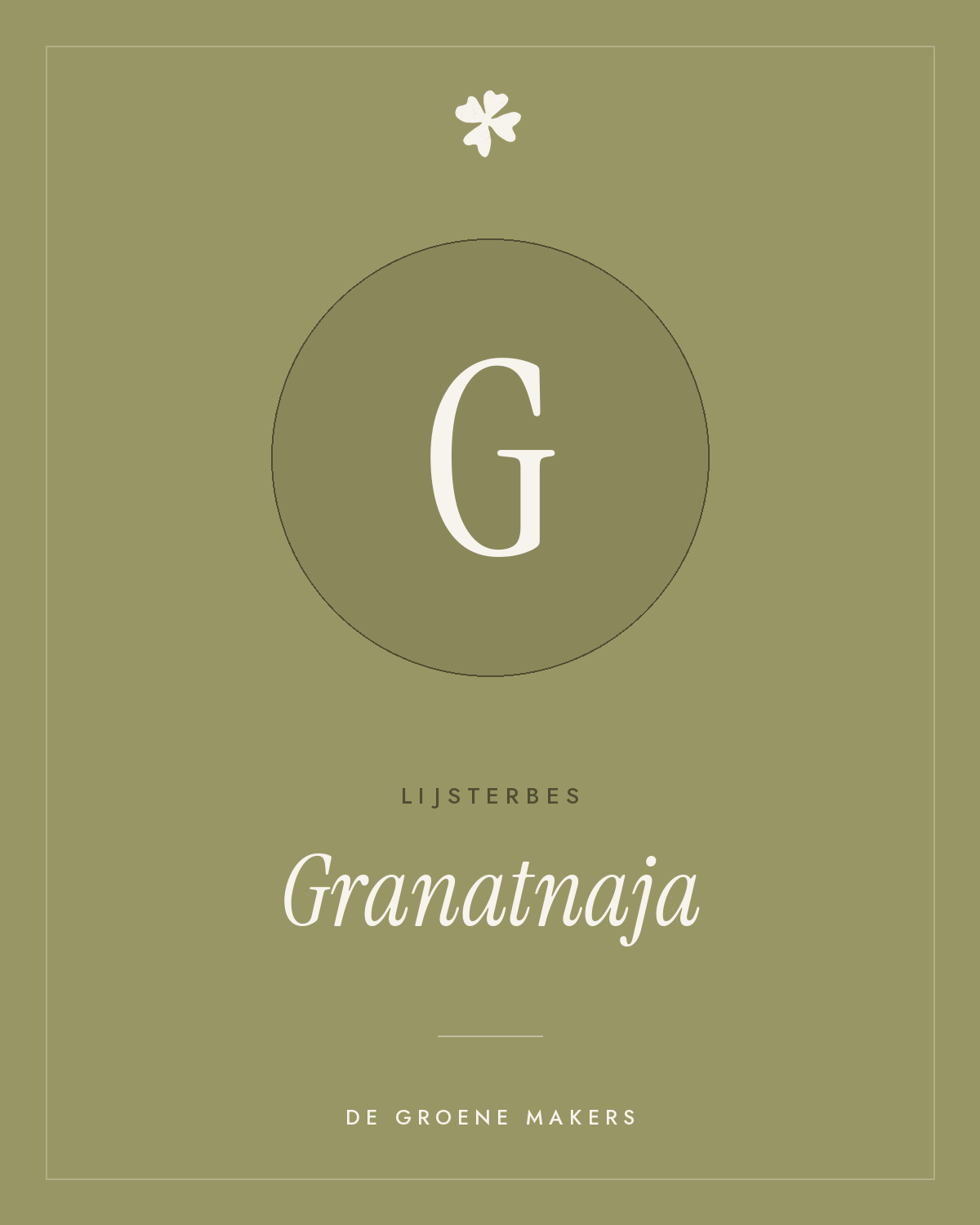 Lijsterbes 'Granatnaja' – De Groene Makers