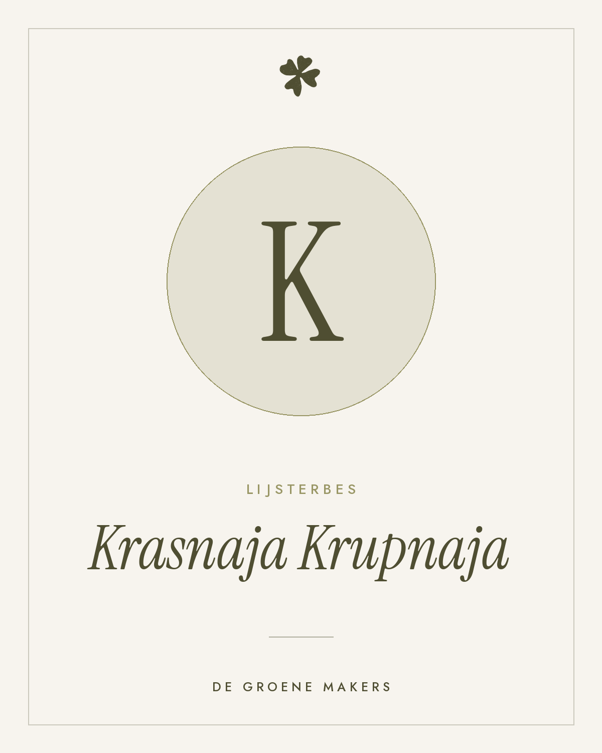 Lijsterbes 'Krasnaja Krupnaja' – De Groene Makers