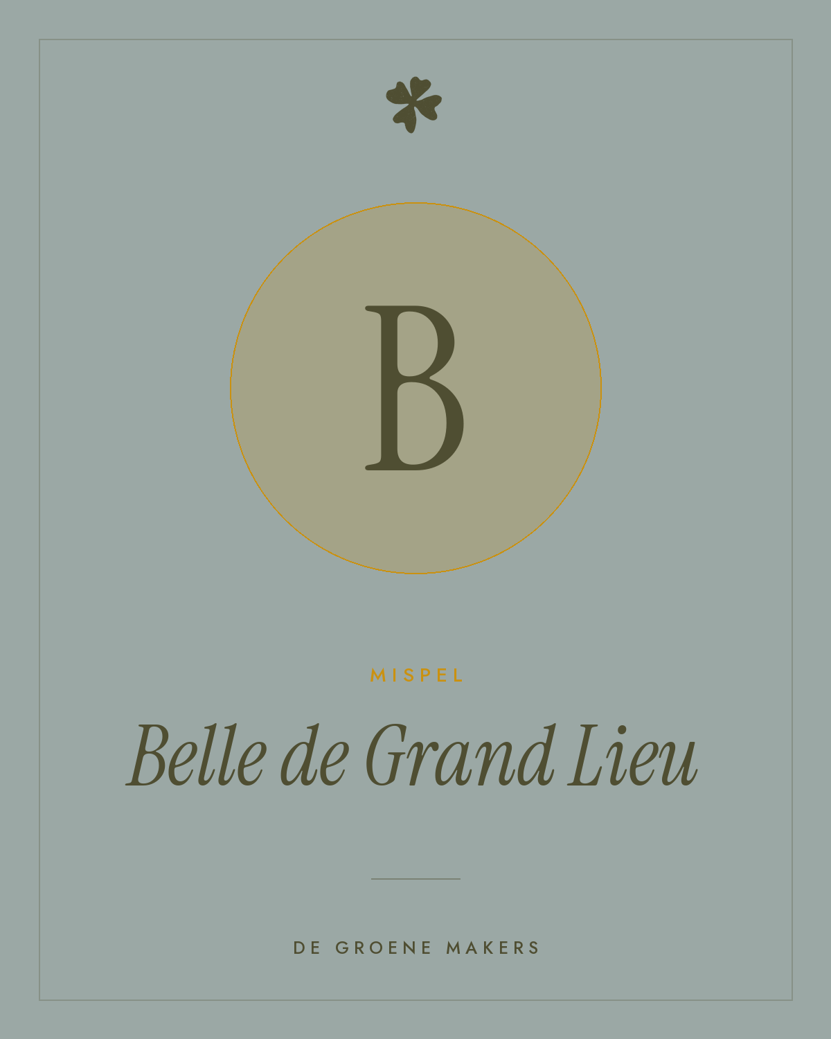 Mispel 'Belle de Grand Lieu' – De Groene Makers