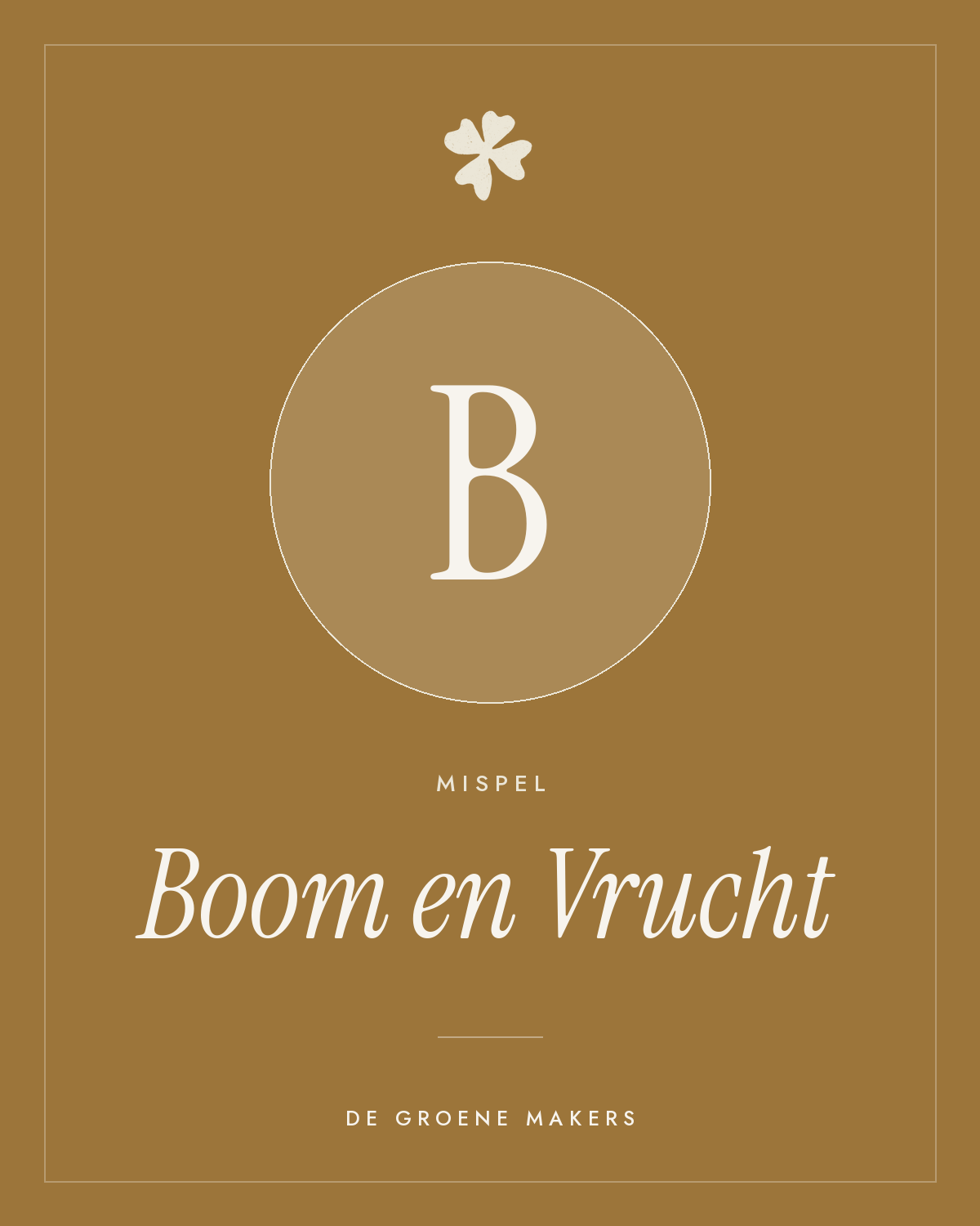 Mispel ‘Boom en Vrucht’ - De Groene Makers