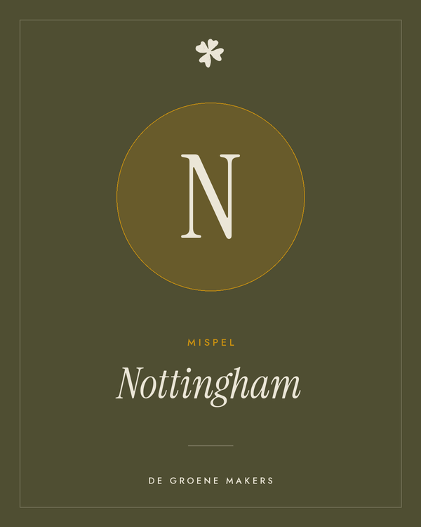 Mispel 'Nottingham' – De Groene Makers