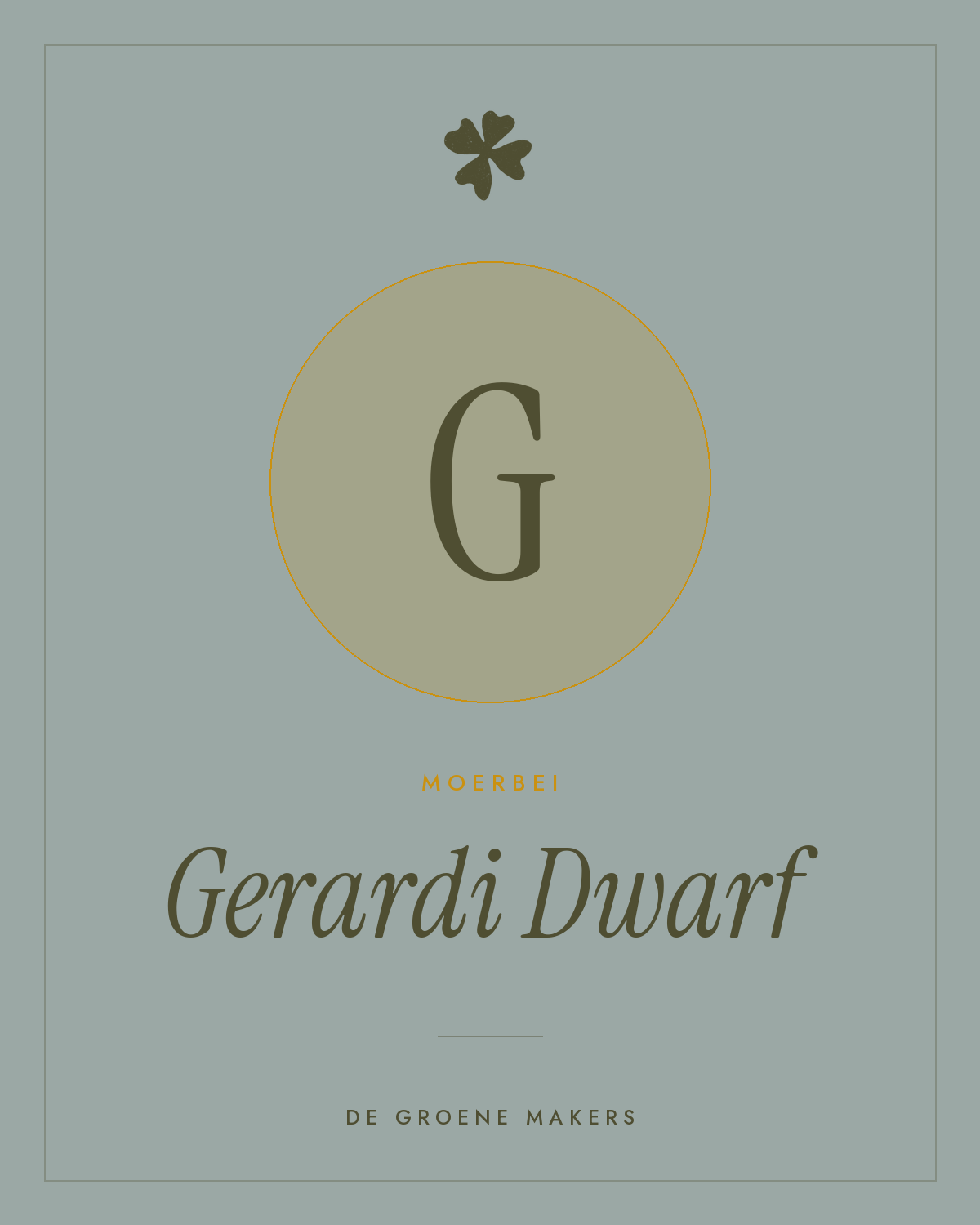 Moerbei ‘Gerardi Dwarf’ - De Groene Makers