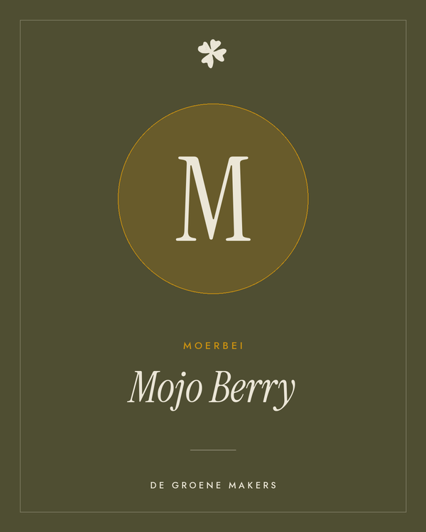 Moerbei 'Mojo Berry' – De Groene Makers
