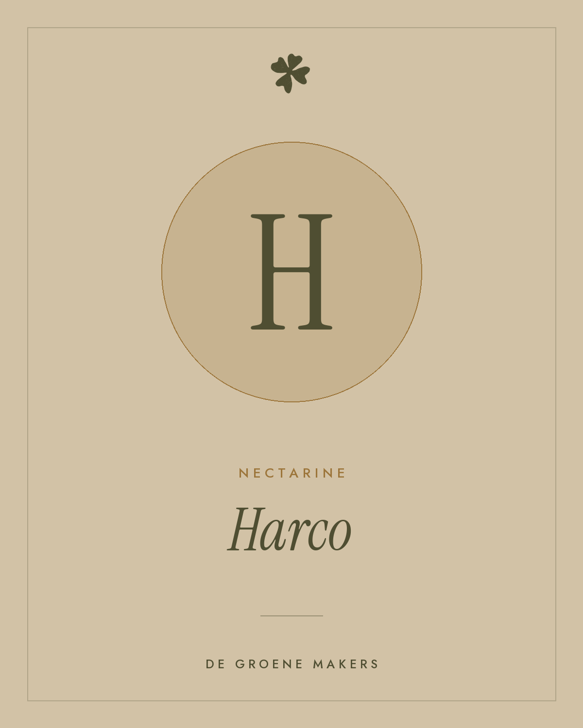 Nectarine 'Harco' – De Groene Makers