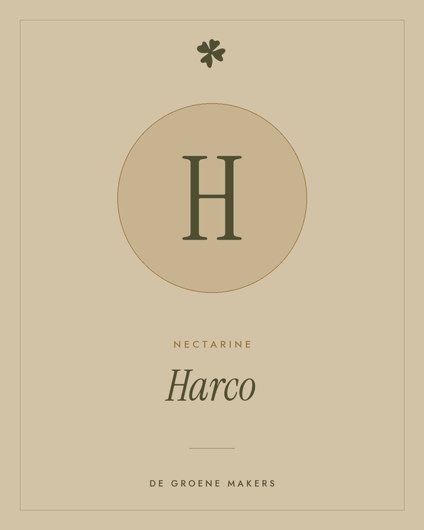 Nectarine 'Harco' – De Groene Makers