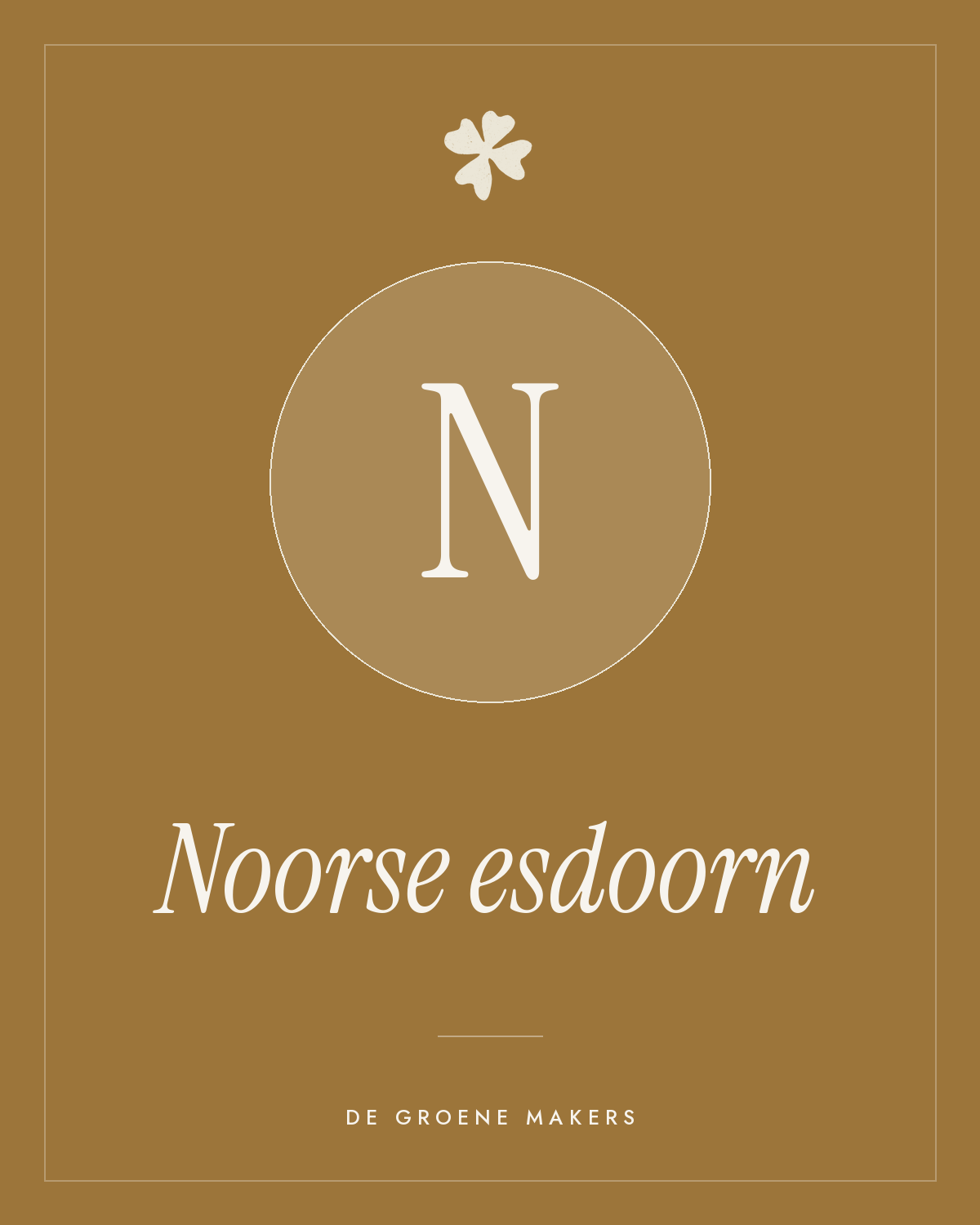 Noorse esdoorn - De Groene Makers