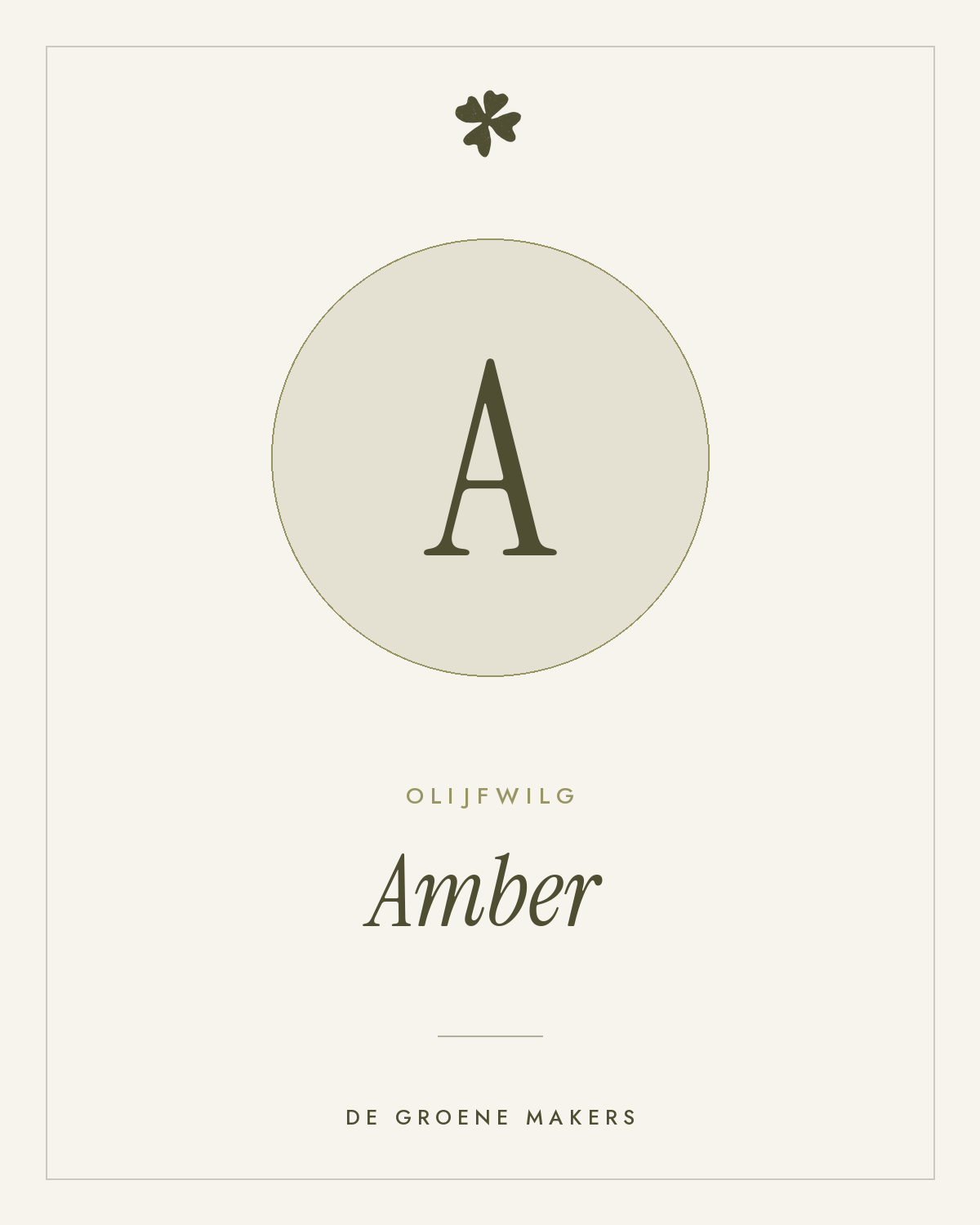 Olijfwilg 'Amber' – De Groene Makers