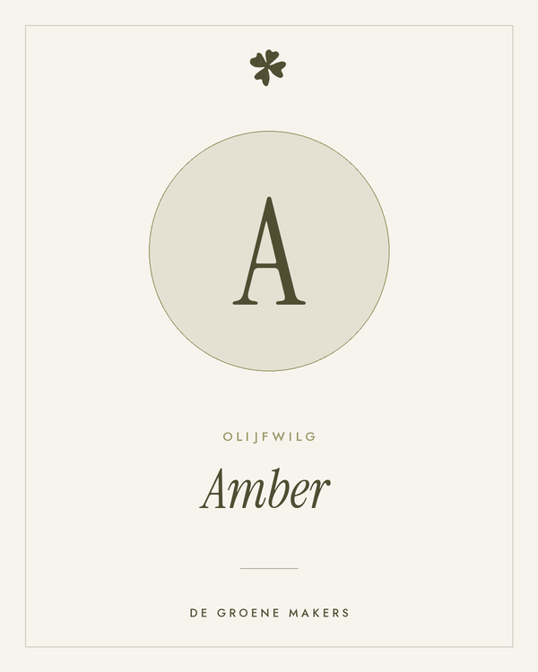 Olijfwilg 'Amber' – De Groene Makers