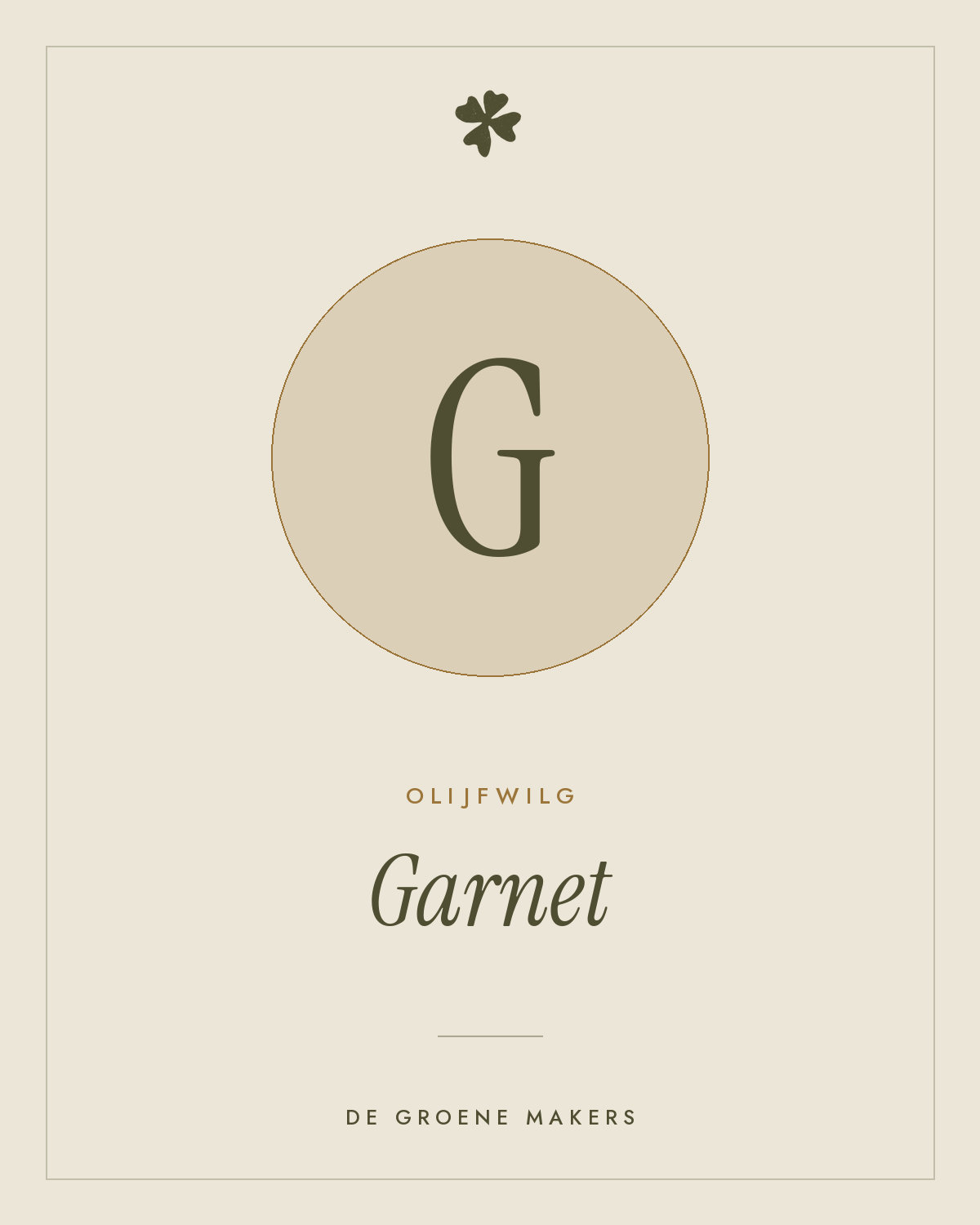 Olijfwilg 'Garnet' – De Groene Makers
