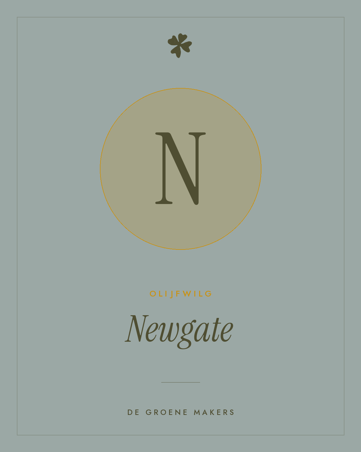 Olijfwilg 'Newgate' – De Groene Makers