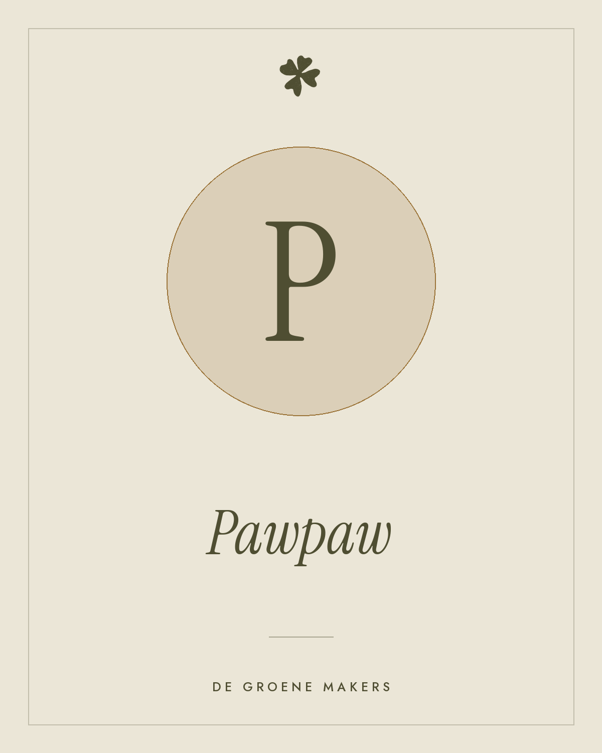 Pawpaw (zaailing) – De Groene Makers