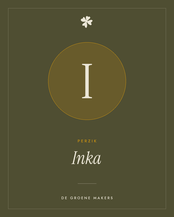 Perzik 'Inka' – De Groene Makers