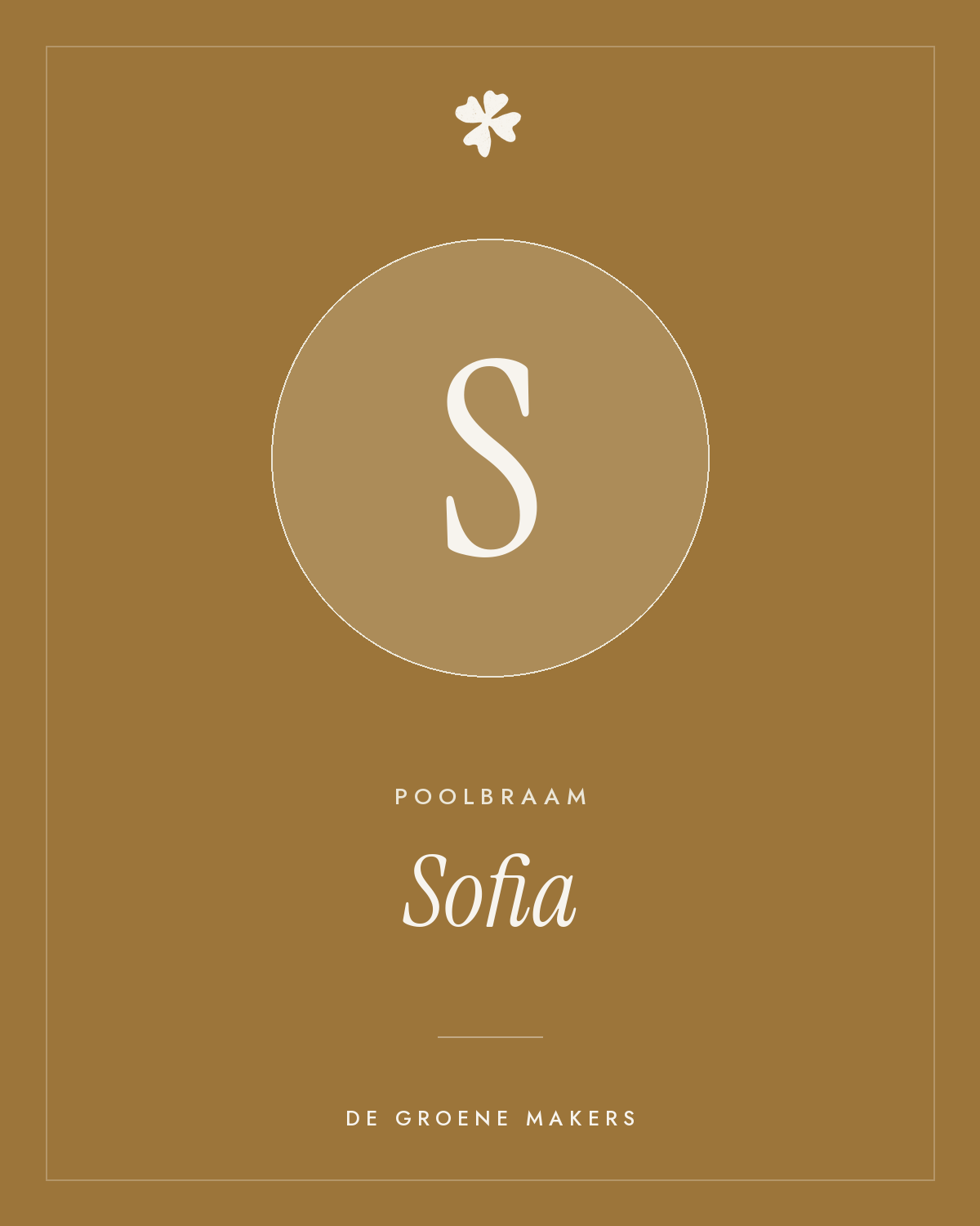 Poolbraam 'Sofia' – De Groene Makers