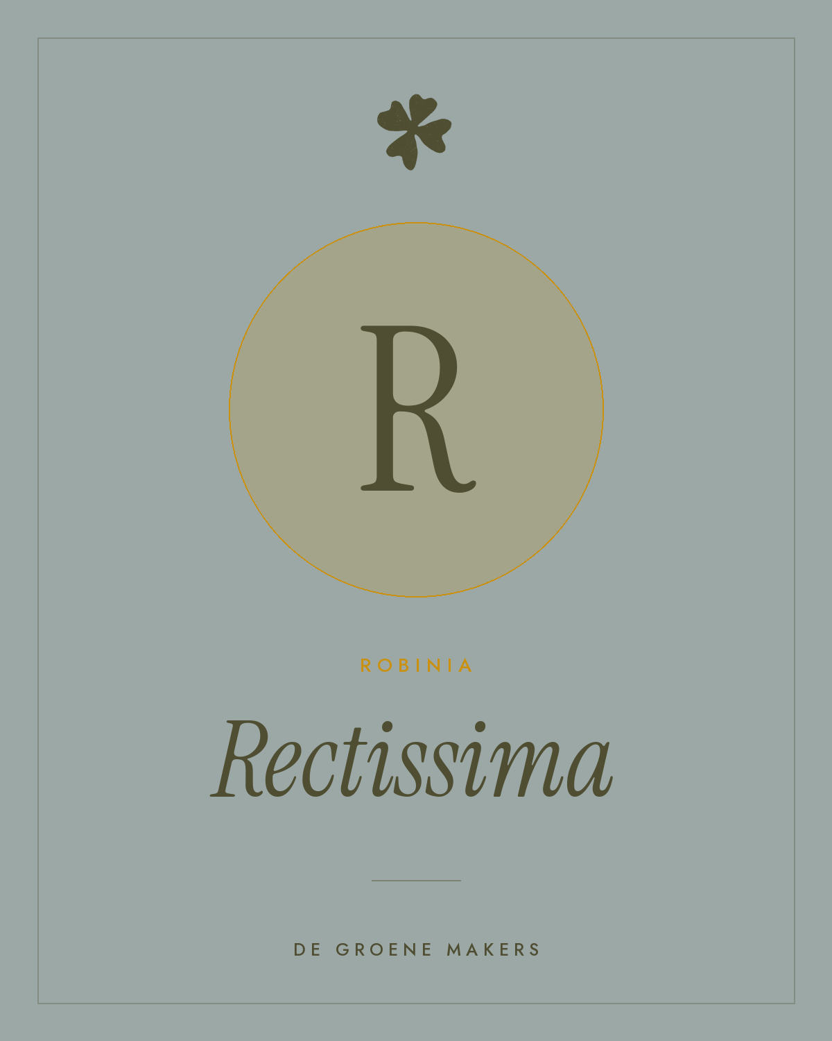 Robinia ‘Rectissima’ - De Groene Makers
