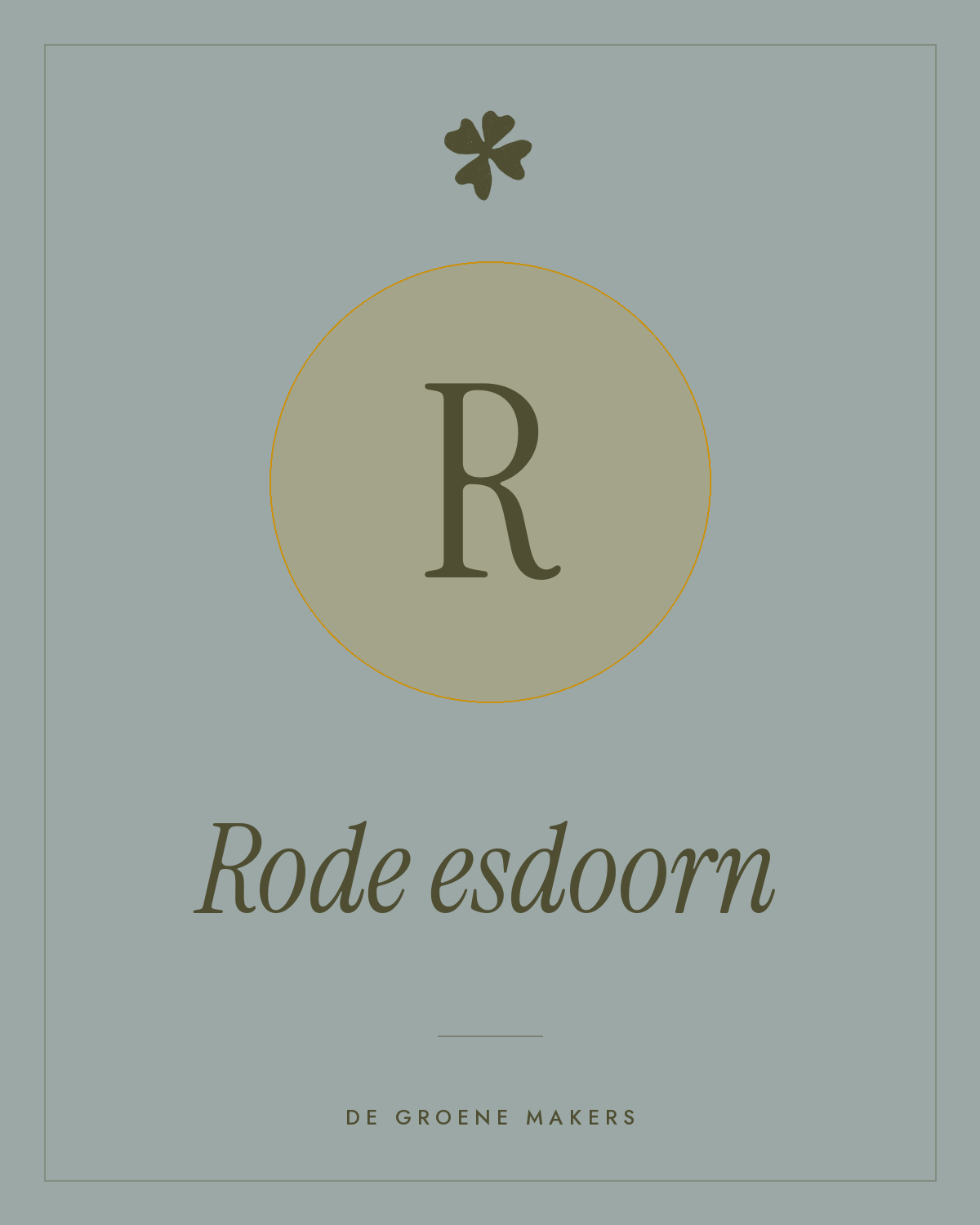 Rode esdoorn - De Groene Makers