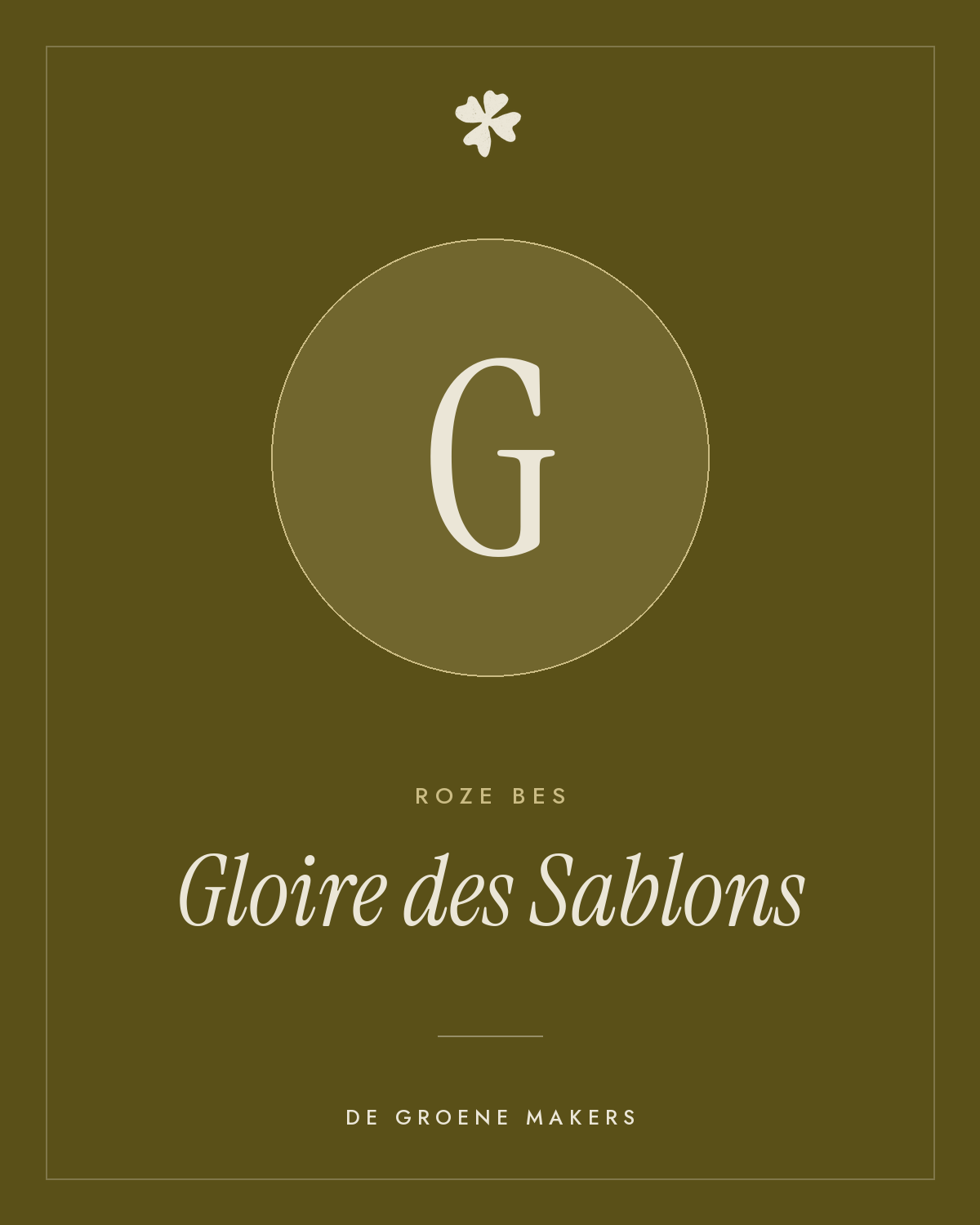 Roze bes 'Gloire des Sablons' – De Groene Makers