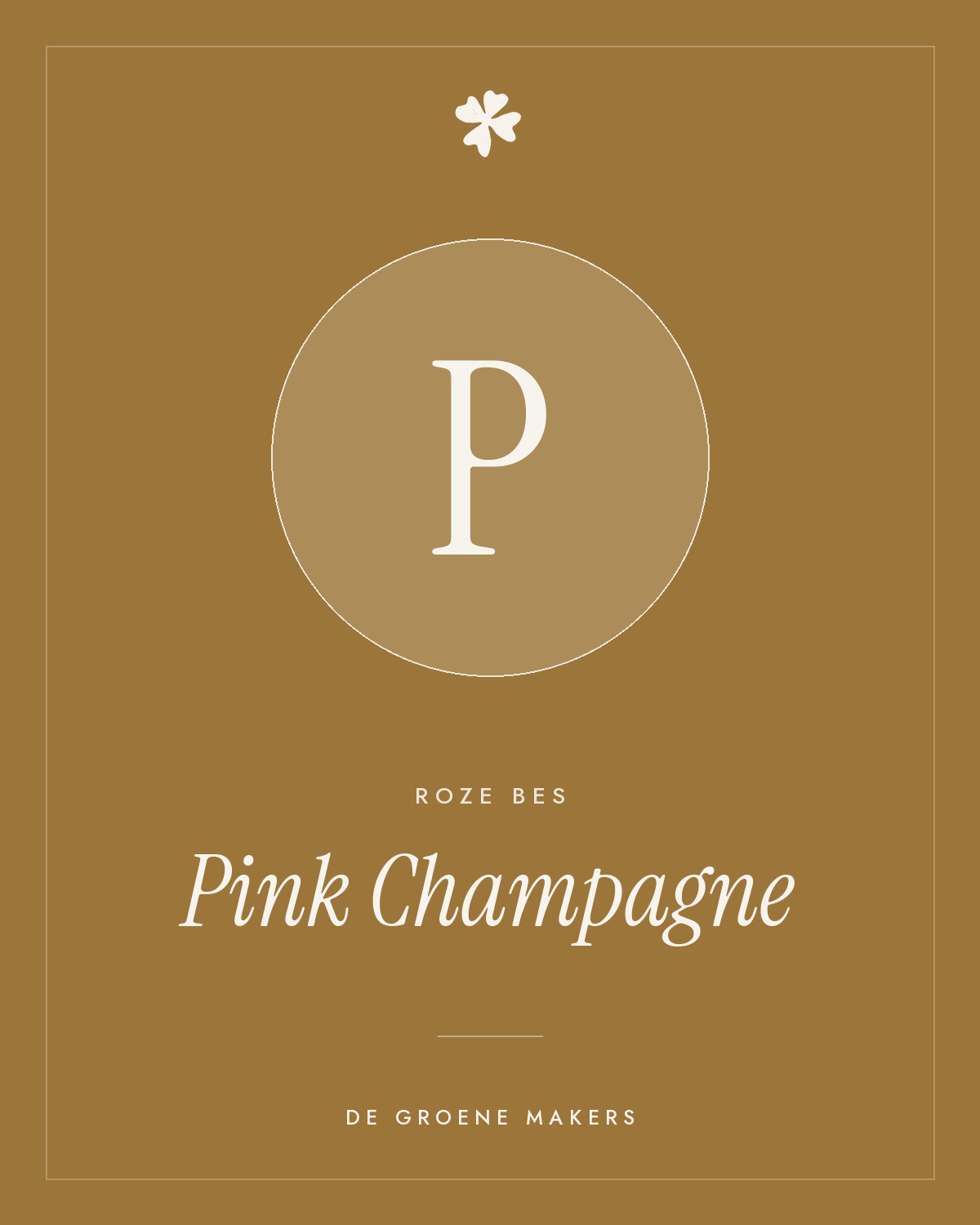 Roze bes 'Pink Champagne' – De Groene Makers