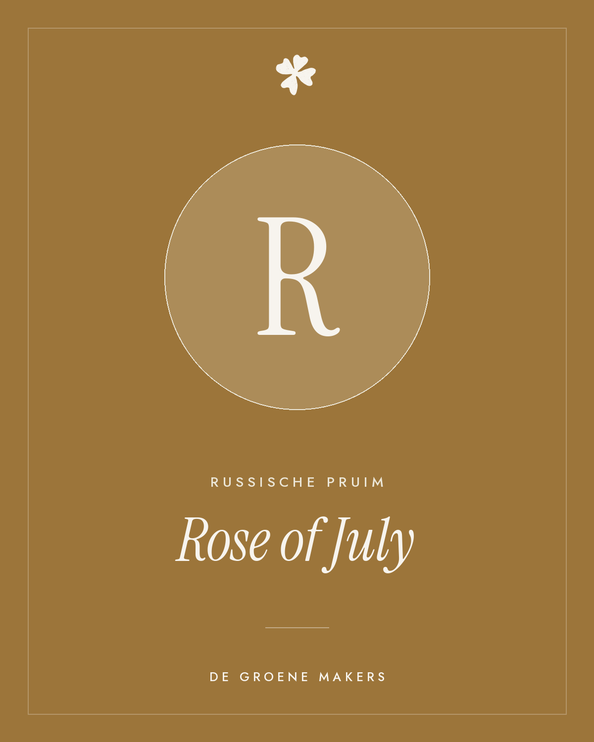 Russische pruim 'Rose of July' – De Groene Makers
